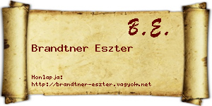 Brandtner Eszter névjegykártya
