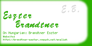 eszter brandtner business card